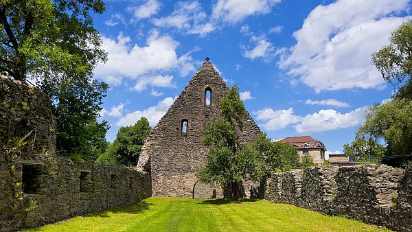 Ruine des Schüttgebäudes im Klosterpark Altzella